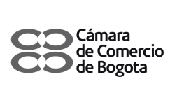 Camara-de-Comercio-de-Bogota-Lead-And-Brand